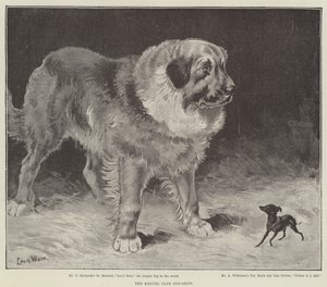 犬小屋のドッグショー 作： Louis Wain